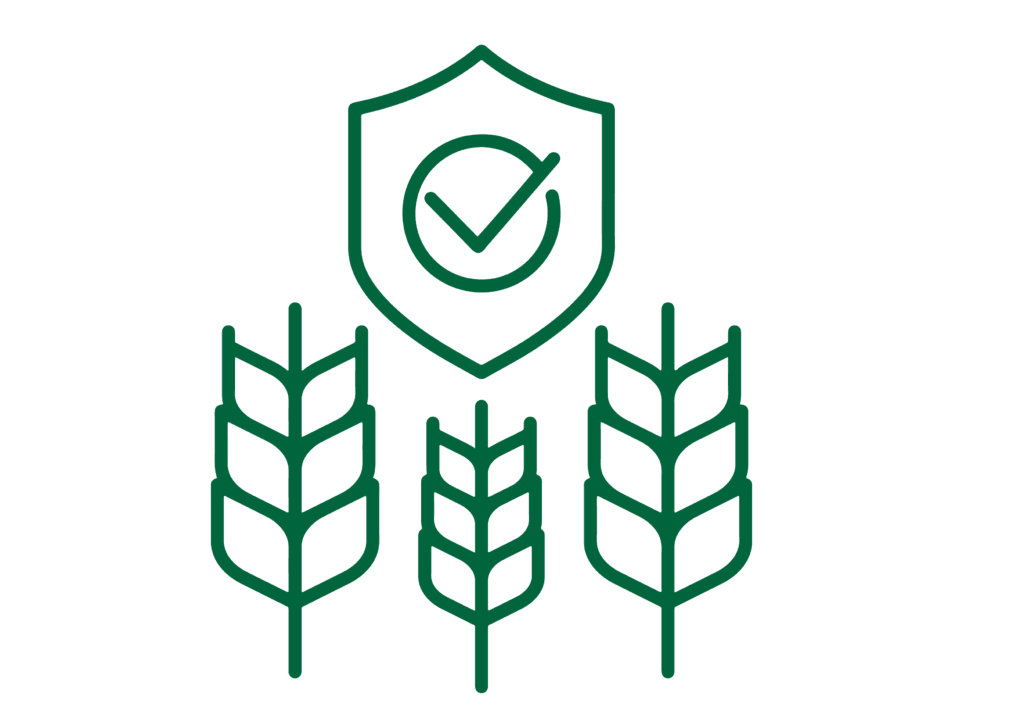 ข้าวสารอมตะนคร