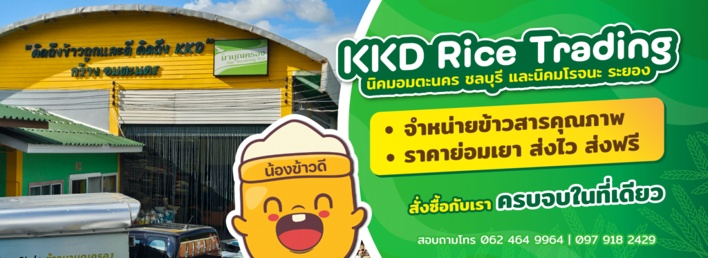ข้าวสารอมตะนคร