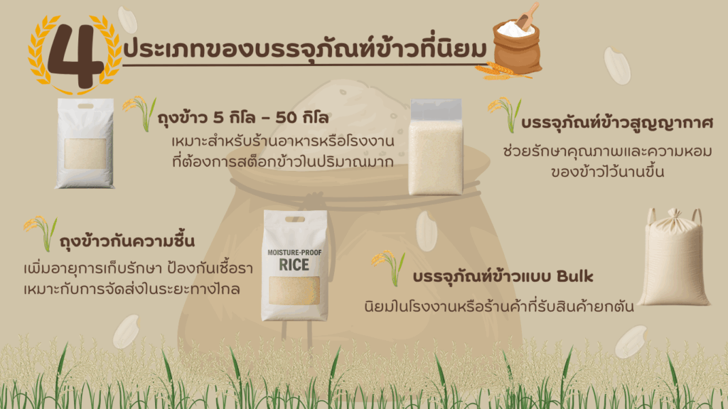 ข้าวสารอมตะนคร