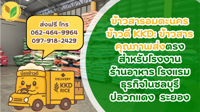 ข้าวสารอมตะนคร