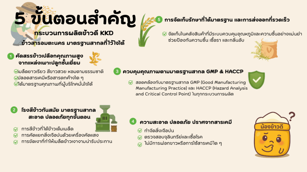 ข้าวสารอมตะนคร