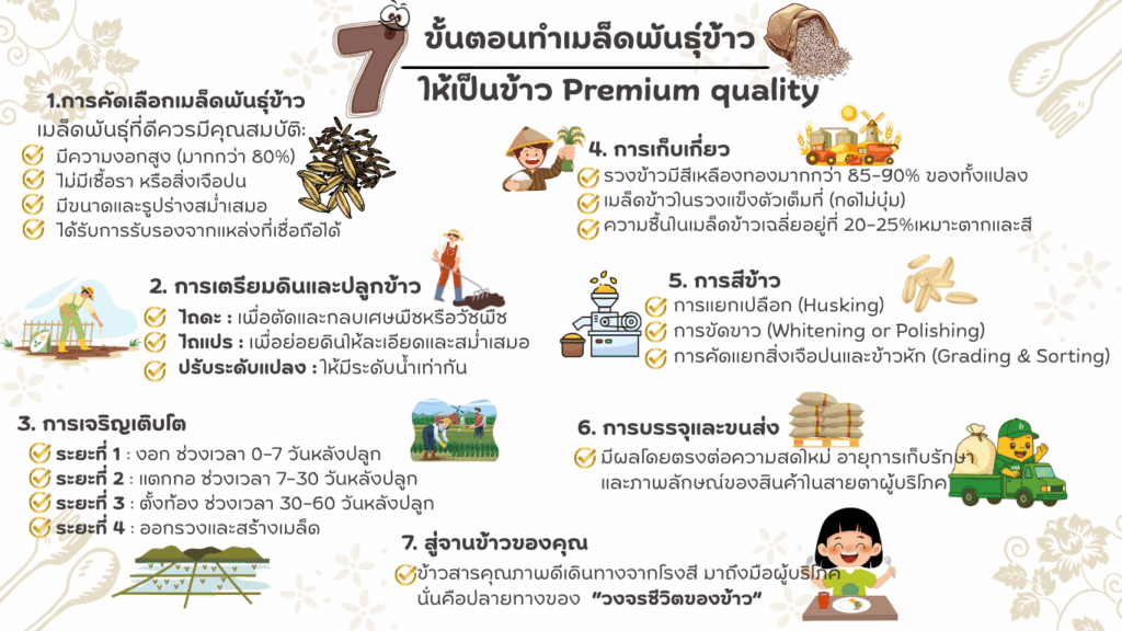 เมล็ดพันธุ์ข้าว