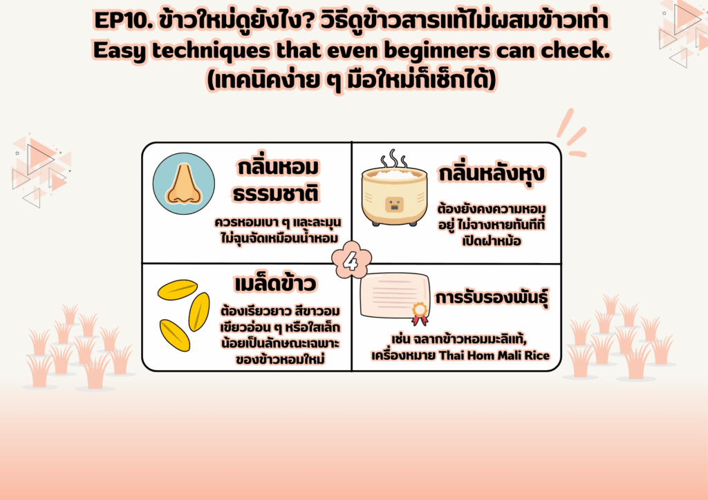 ข้าวใหม่ดูยังไง