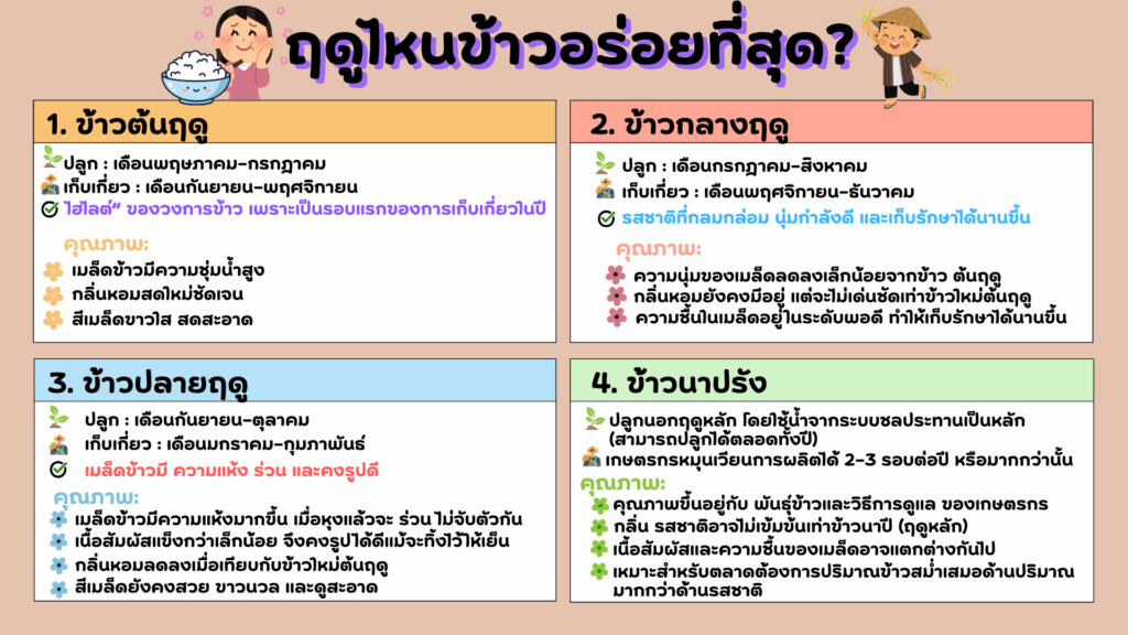 ฤดูไหนข้าวอร่อย