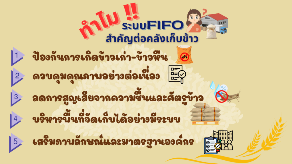 ทำไมระบบFIFO จึงสำคัญต่อคลังเก็บข้าว