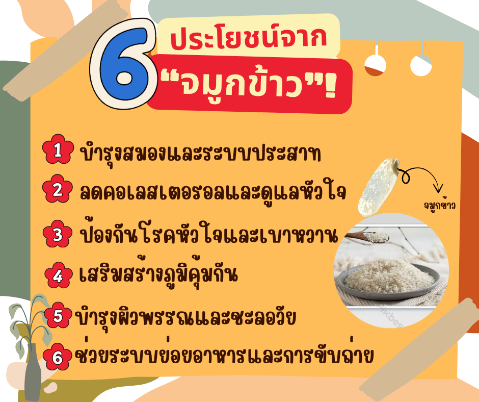 ประโยชน์จาก