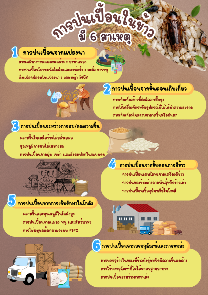 การปนเปื้อนในข้าว