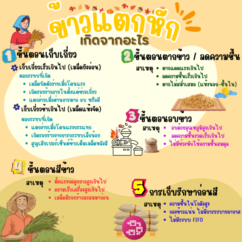 ข้าวแตกหัก