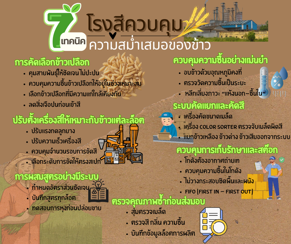 7 เทคนิค Important ! โรงสีควบคุม “ความสม่ำเสมอของข้าว” ให้คุณภาพคงที่ทุกล็อต 3 ความสม่ำเสมอของข้าว