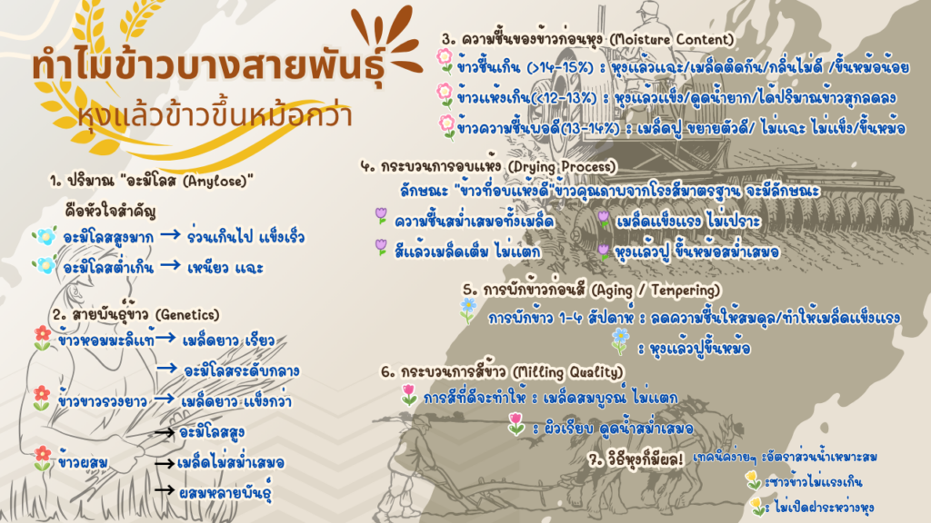 ข้าวขึ้นหม้อ